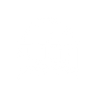 Project JDM - NYC